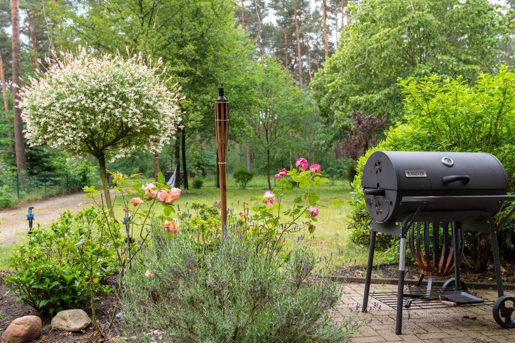 Zahrada ubytování Ferienhaus im Grünen