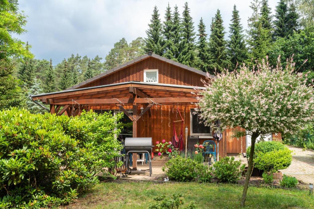 Zahrada ubytování Ferienhaus im Grünen