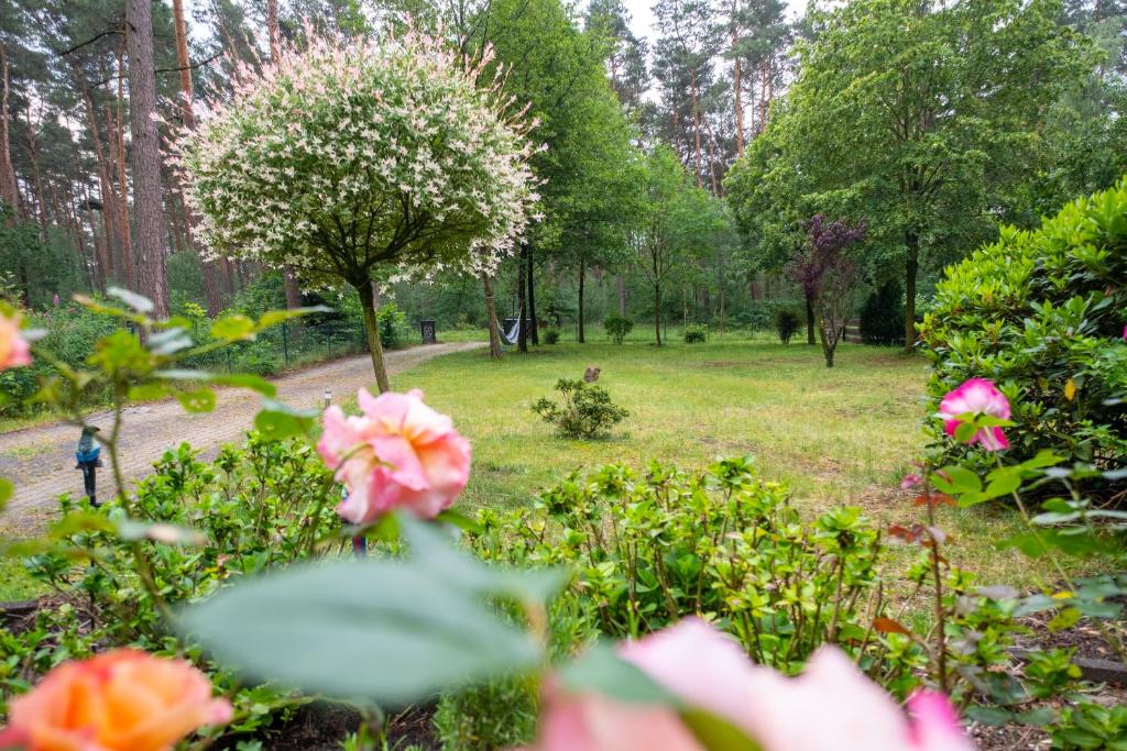 Zahrada ubytování Ferienhaus im Grünen