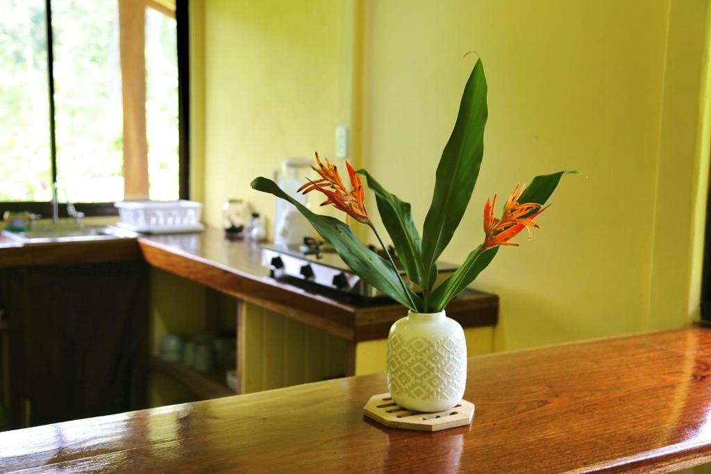 Fotografie z fotogalerie ubytování Hotel & Cabinas Nadine v destinaci Cahuita