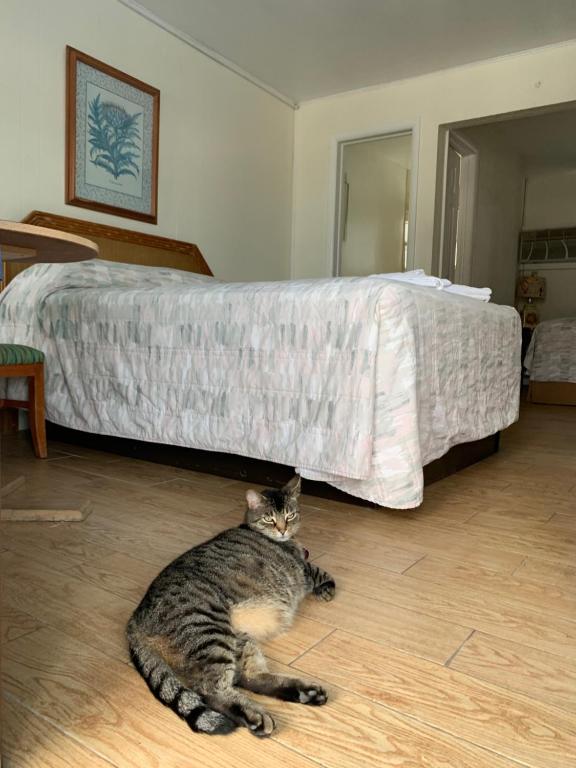 Postel nebo postele na pokoji v ubytování White Caps Motel