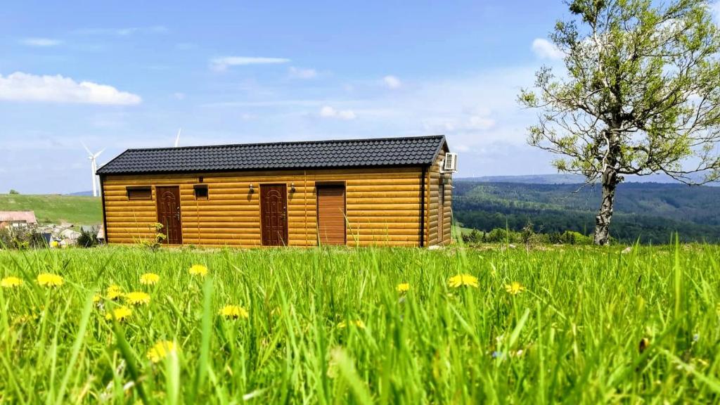 una pequeña cabaña de madera en un campo de hierba en Urtica apartmány en Nová Ves v Horách