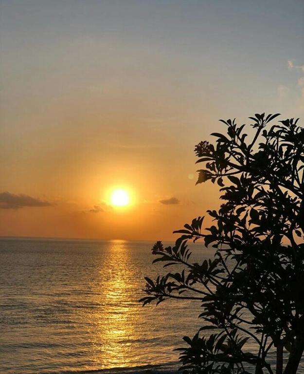 Ogix Cliff Paradise - 11