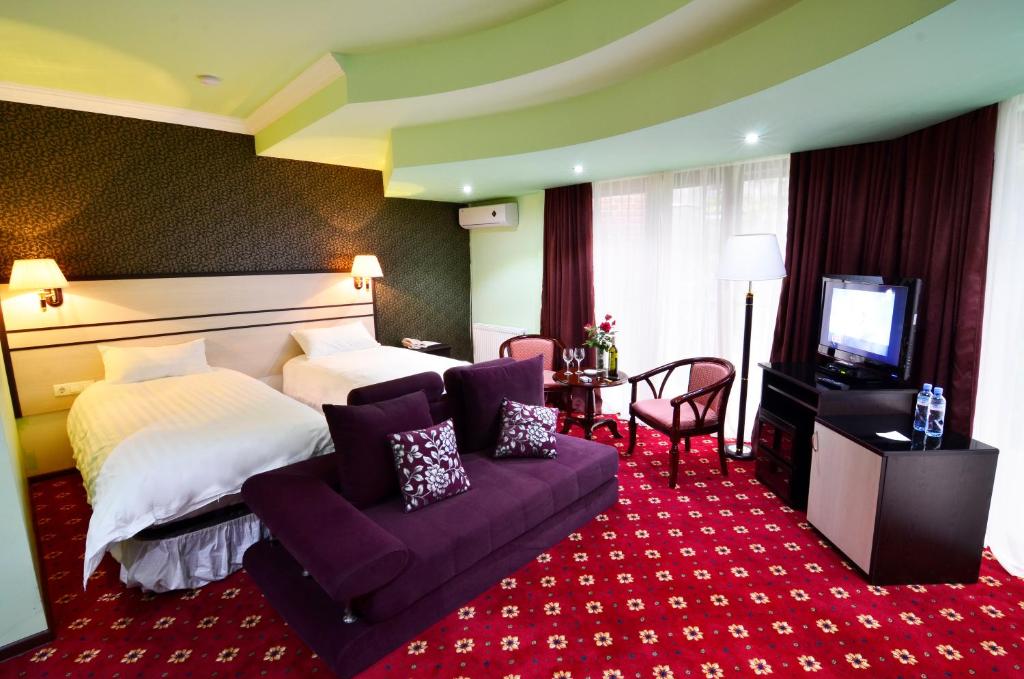 TV a/nebo společenská místnost v ubytování Borjomi Palace Health & Spa Center