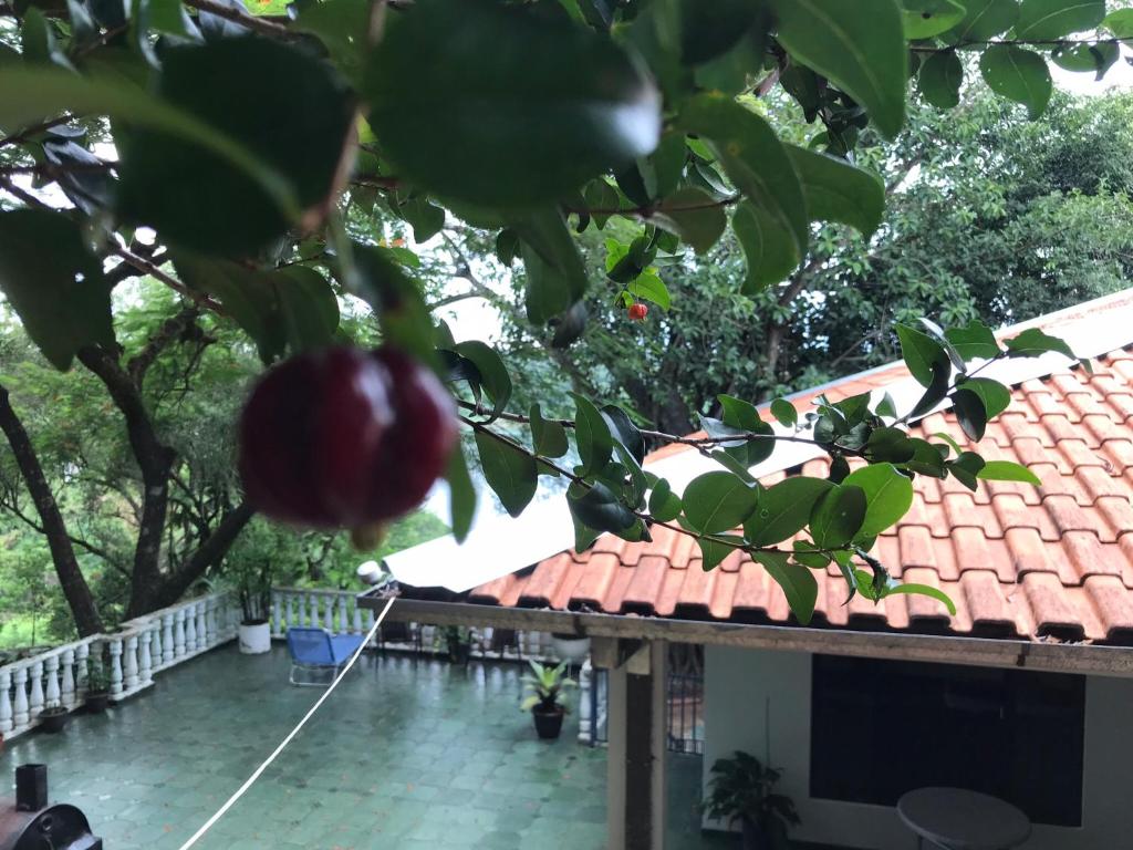  A Casa da Baixada