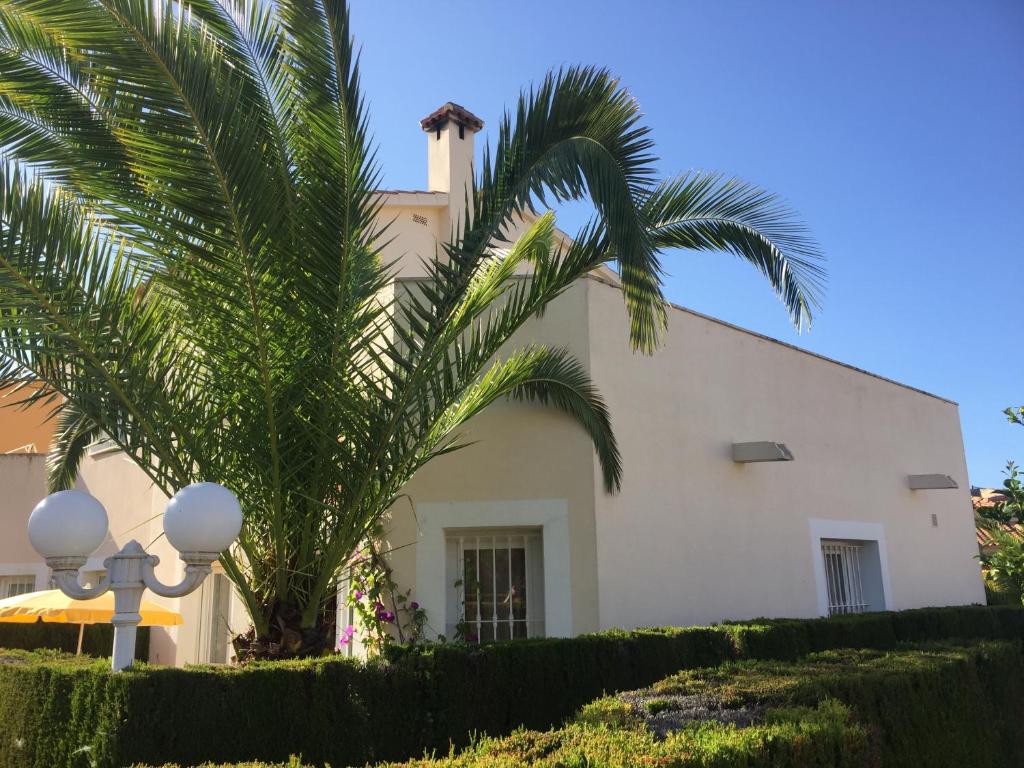 a white house with a palm tree in front of it at villa (3 bed and 2 bath) in the Oliva Nova Golf&Beach resort in Oliva