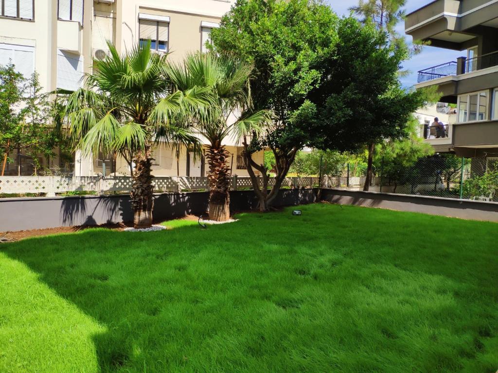 A garden outside El Mundo Suites