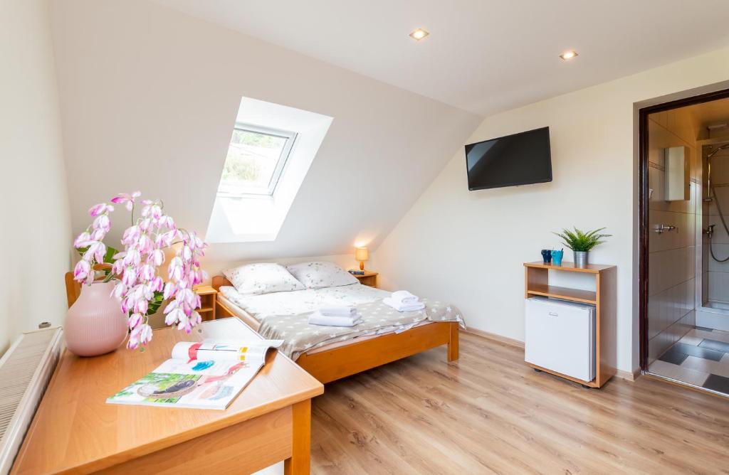 Apartament i Pokoje Gościnne u Lusi - szkółka narciarska obok - 2