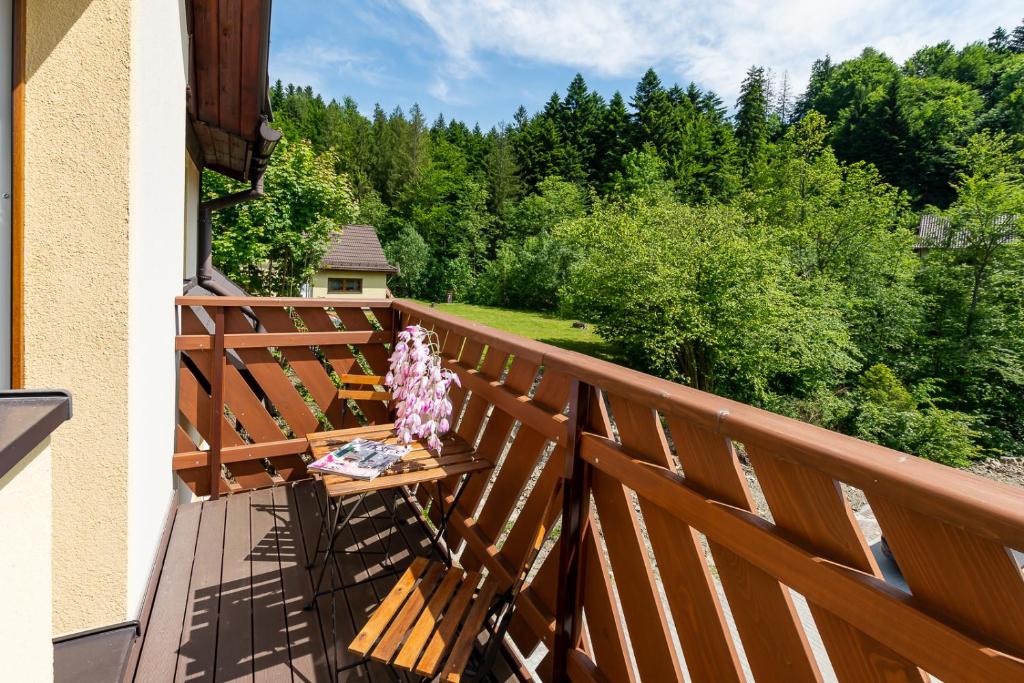 Apartament i Pokoje Gościnne u Lusi - szkółka narciarska obok - 16