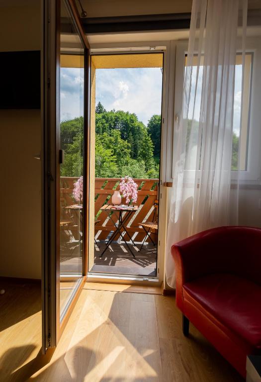 Apartament i Pokoje Gościnne u Lusi - szkółka narciarska obok - 18