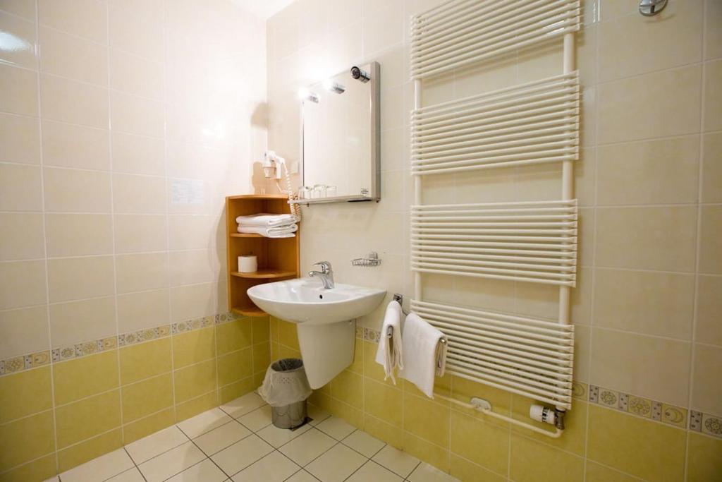 Koupelna v ubytování Bolfenk lodge apartment