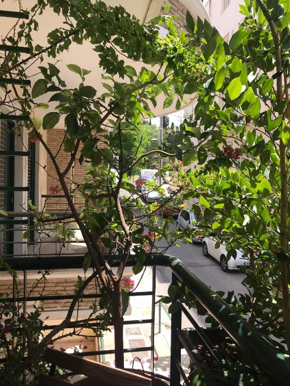 Vonkajšia záhrada v ubytovaní Mets Area, Hip, Tasteful & Ultra Convenient Studio for 2