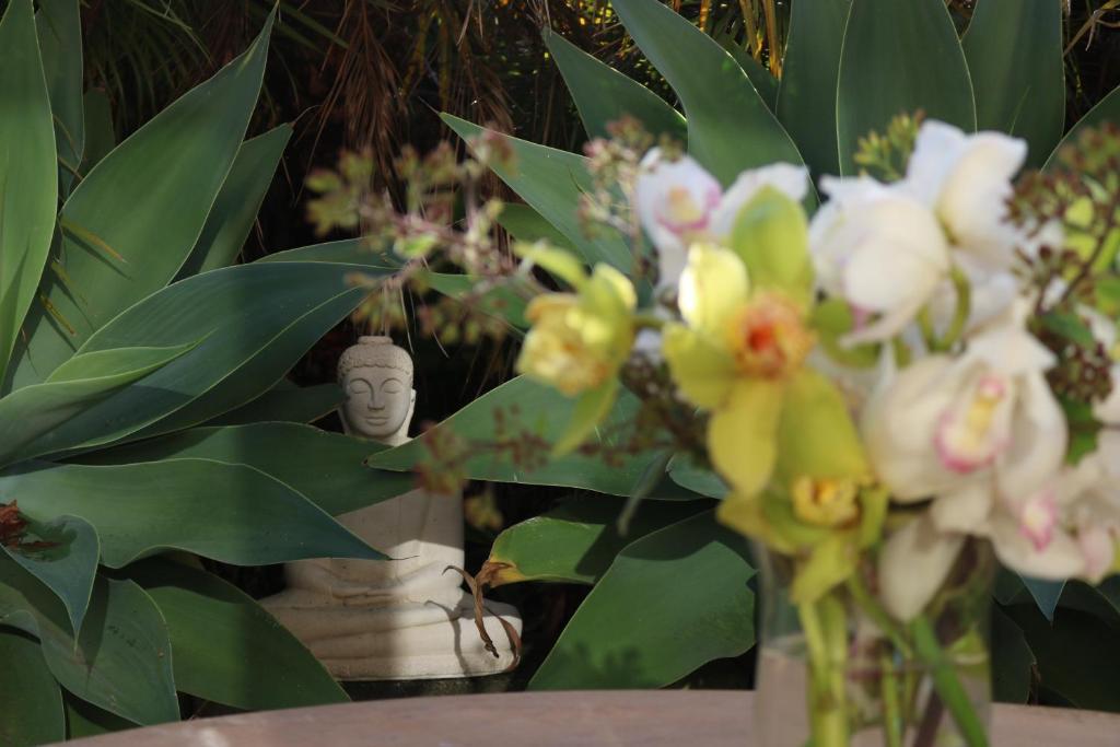 Nyima Tashi Buddhist Centre - Resim 19