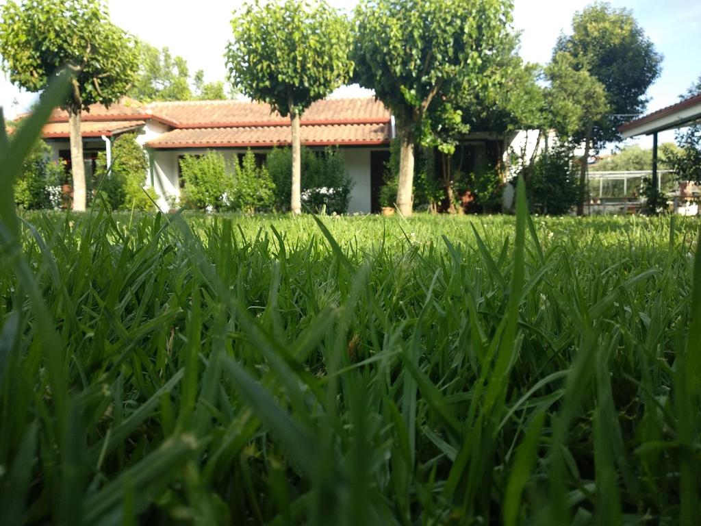 a view of a lawn with a house in the background at Sivota Colours in Sivota