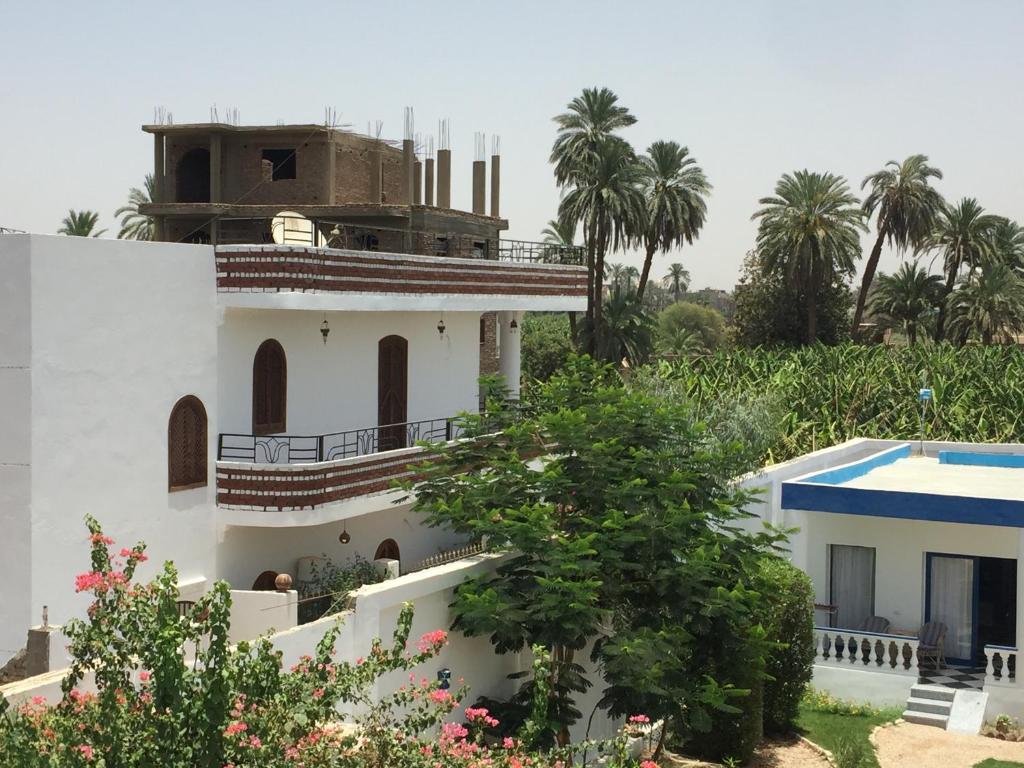 a house with a swimming pool and palm trees at Villa Quiet Place in Luxor