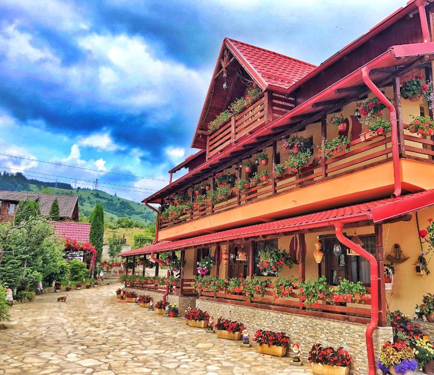 a building with potted plants on the side of it at Casa BOICO in Gura Humorului