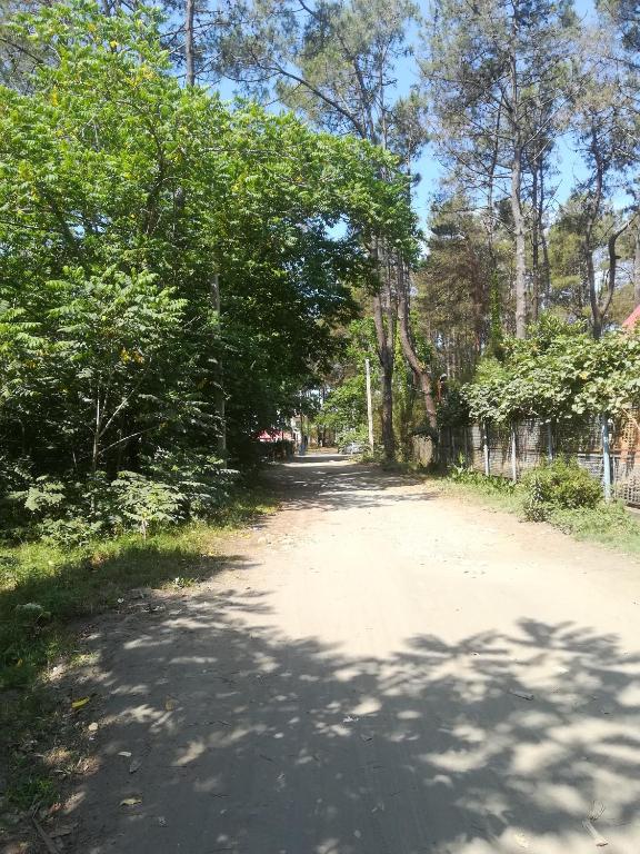 Příroda nedaleko penzionu