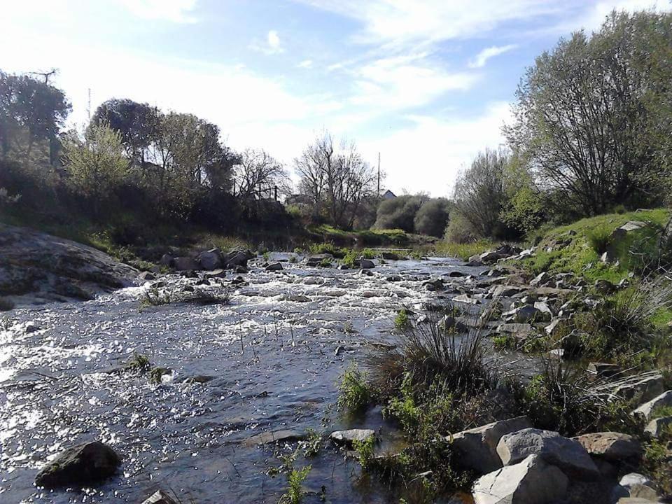 een stroom water met rotsen in een veld bij cacador in Vila Chã de Braciosa