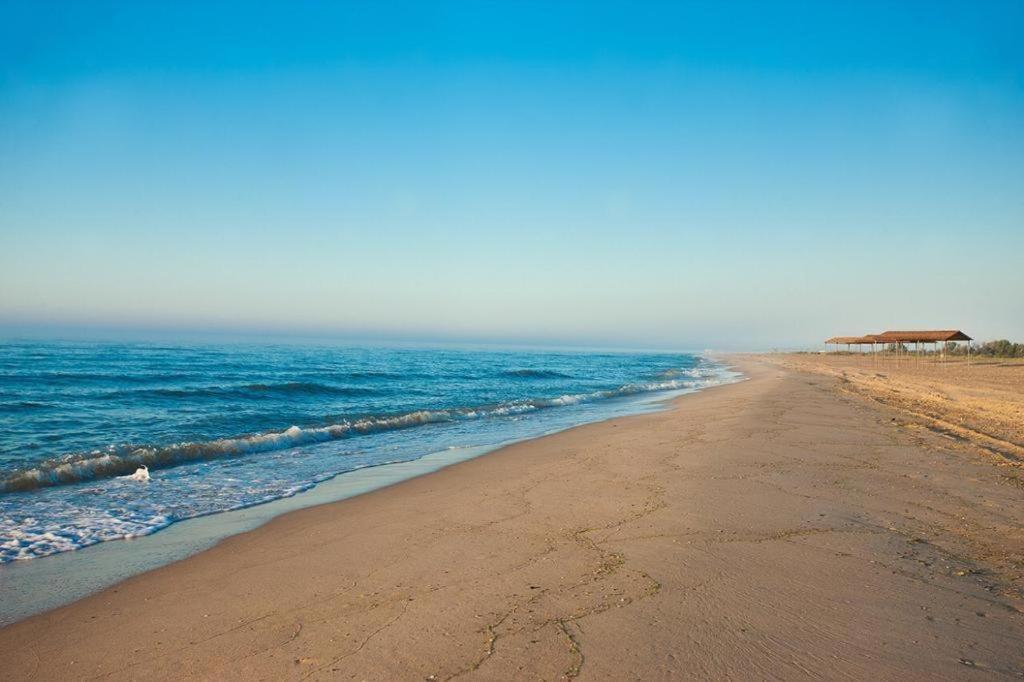 a beach with the ocean and the shoreline w obiekcie GOLD BUGAZZ w mieście Hrybiwka