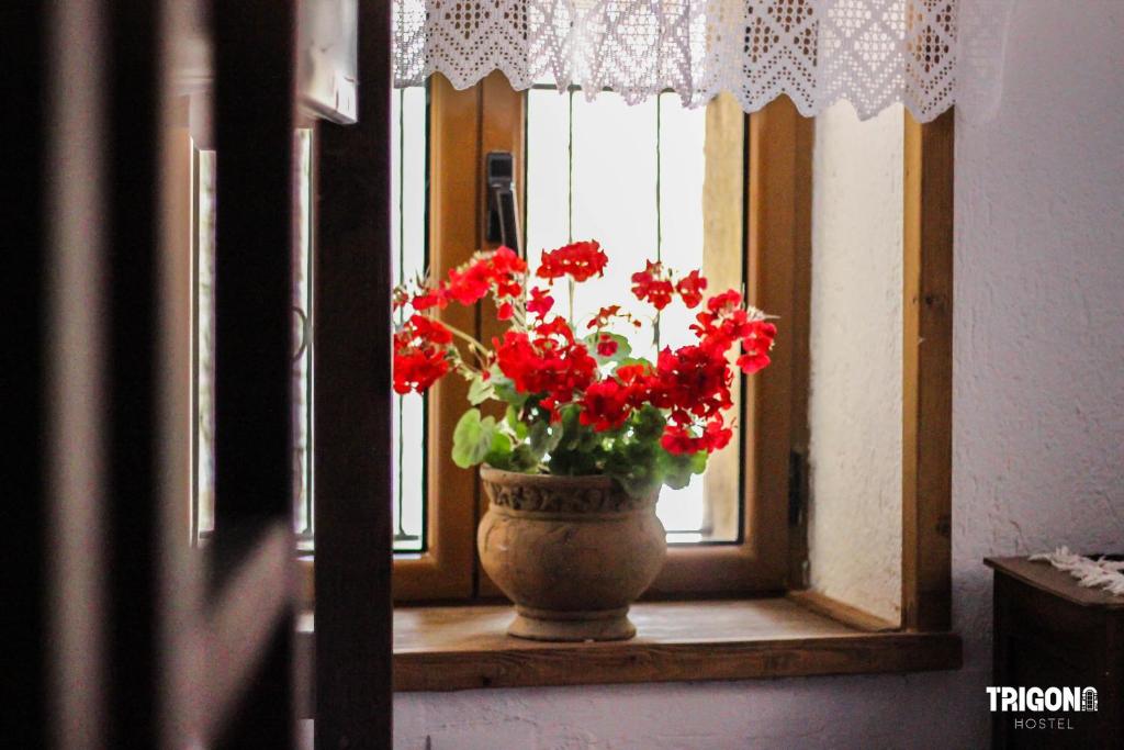 Fotografie z fotogalerie ubytování Trigona Guest House & Hostel v destinaci Gjirokastër