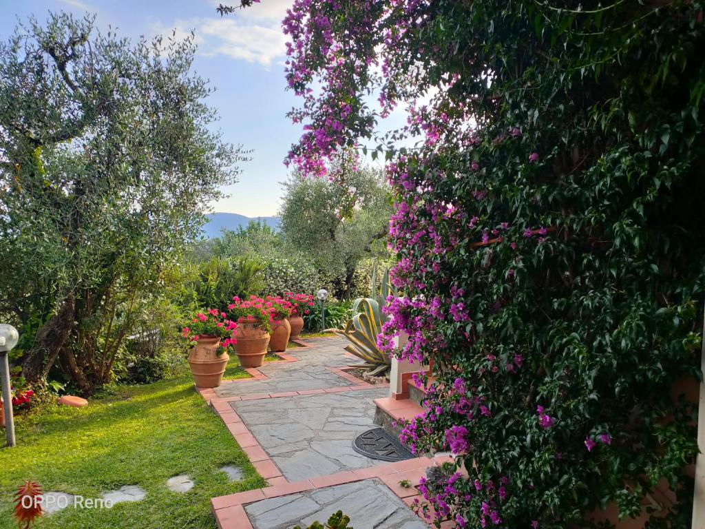 Caniparola di FosdinovoにあるChiara Apartmentの紫の花々と小道のある庭園