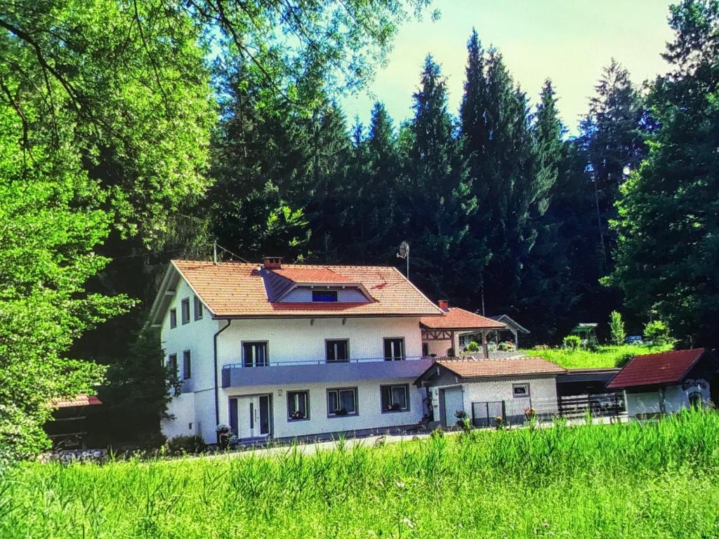 dom na środku pola z drzewami w obiekcie Haus Manuela w mieście Velden am Wörthersee