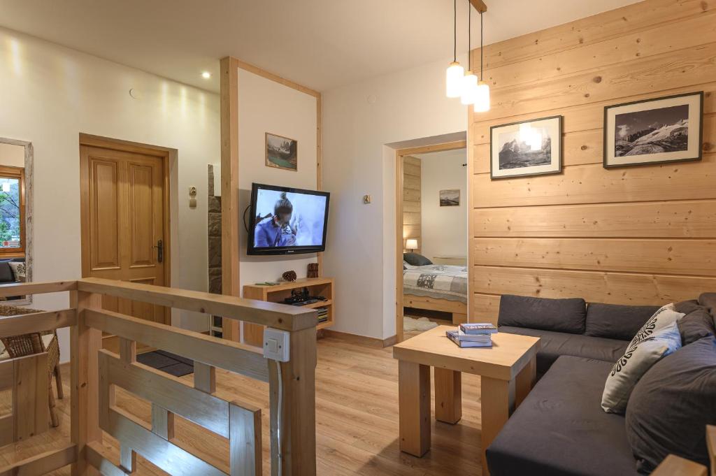 salon z kanapą i telewizorem w obiekcie Apartament pod Skocznią w Zakopanem