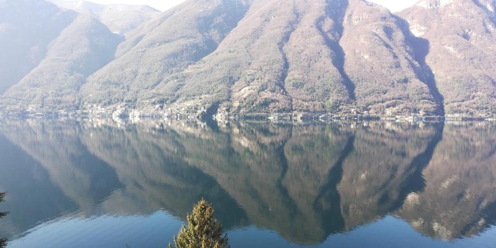 ネッソにあるGiardino sul lago, La Vignaの水面の山の反射