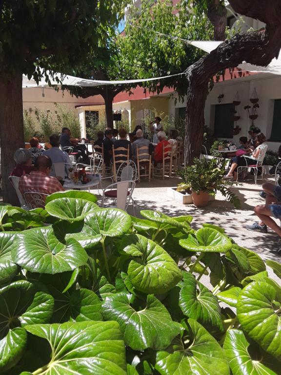 Restaurace v ubytování Hostal Plaja i Pati de Can Plaja
