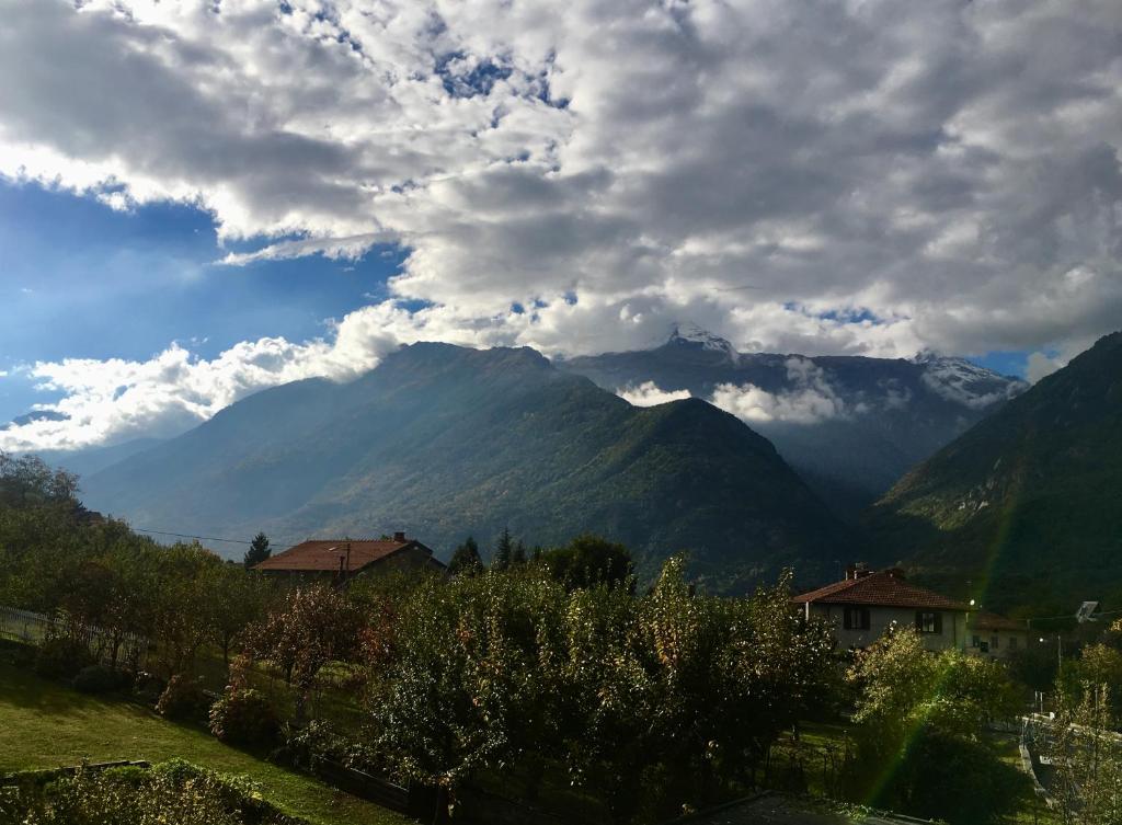 Il Pachirol