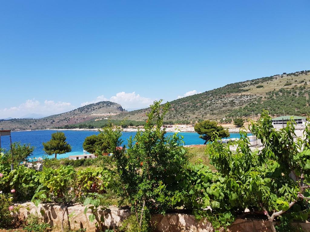 Peisaj natural din apropierea acestui apartament