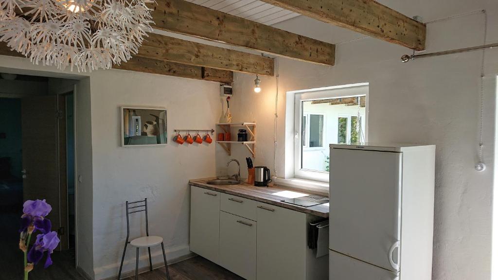 eine Küche mit einem Kühlschrank und einem Fenster in der Unterkunft Secret garden house in the center of Sigulda in Sigulda