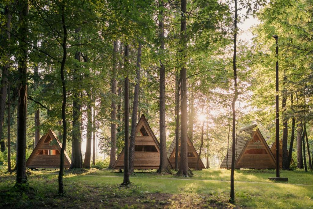 eine Gruppe von drei Zelten in einem Wald in der Unterkunft Forest Camping Mozirje in Mozirje