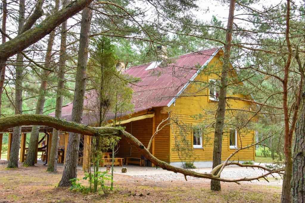 a log cabin with a red roof in the woods at Kempings Videnieki in Liepene