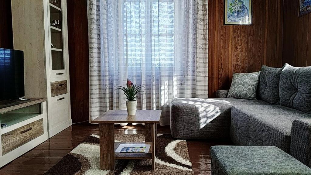 Svetainės erdvė apgyvendinimo įstaigoje Apartment Petar