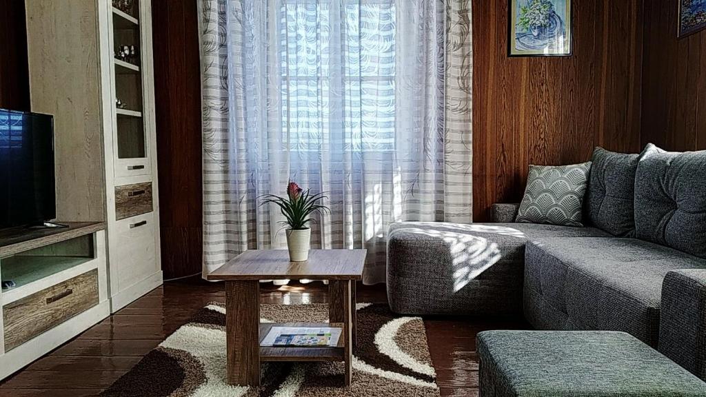 ein Wohnzimmer mit einem Sofa und einem Tisch in der Unterkunft Apartment Petar in Lastovo