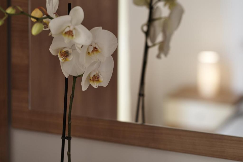 Posteľ alebo postele v izbe v ubytovaní Buonocore apartment