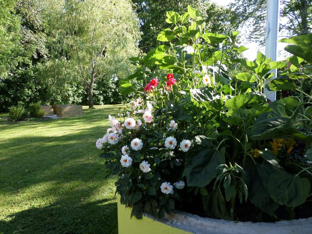 Zahrada ubytování Skogis Bed & Breakfast
