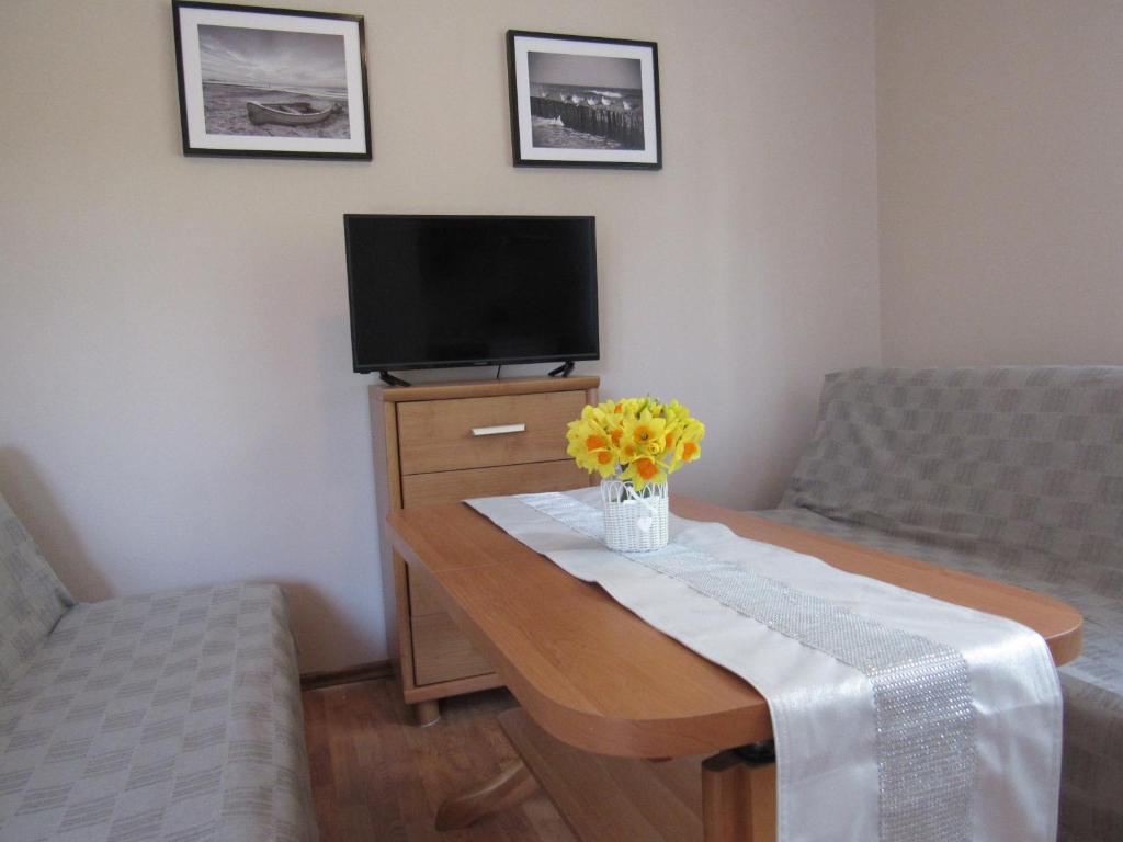 a living room with a tv and a table with flowers at Manta Apartamenty in Sianozety