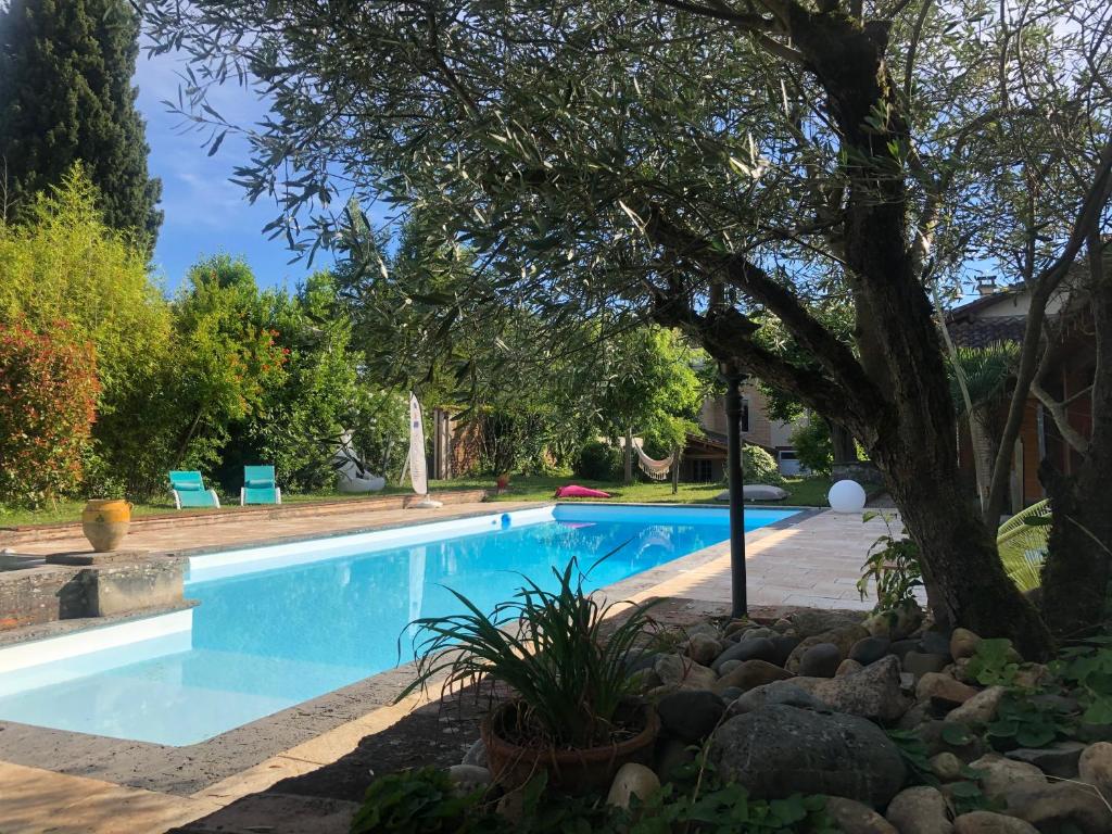 ein Schwimmbad mit einem Baum daneben in der Unterkunft Appartement piscine in Tonneins