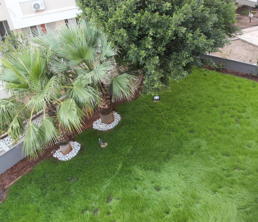 A garden outside El Mundo Suites