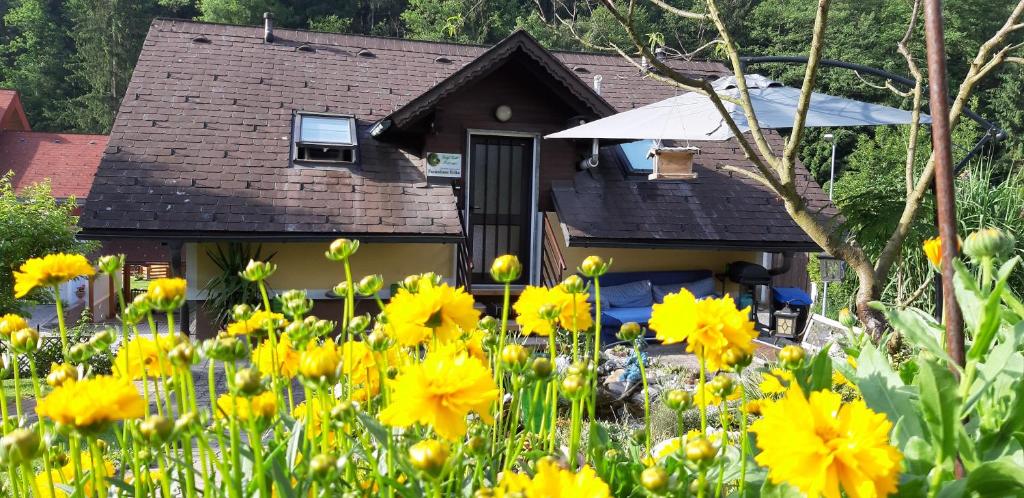 Zahrada ubytování Ferienhaus Erika