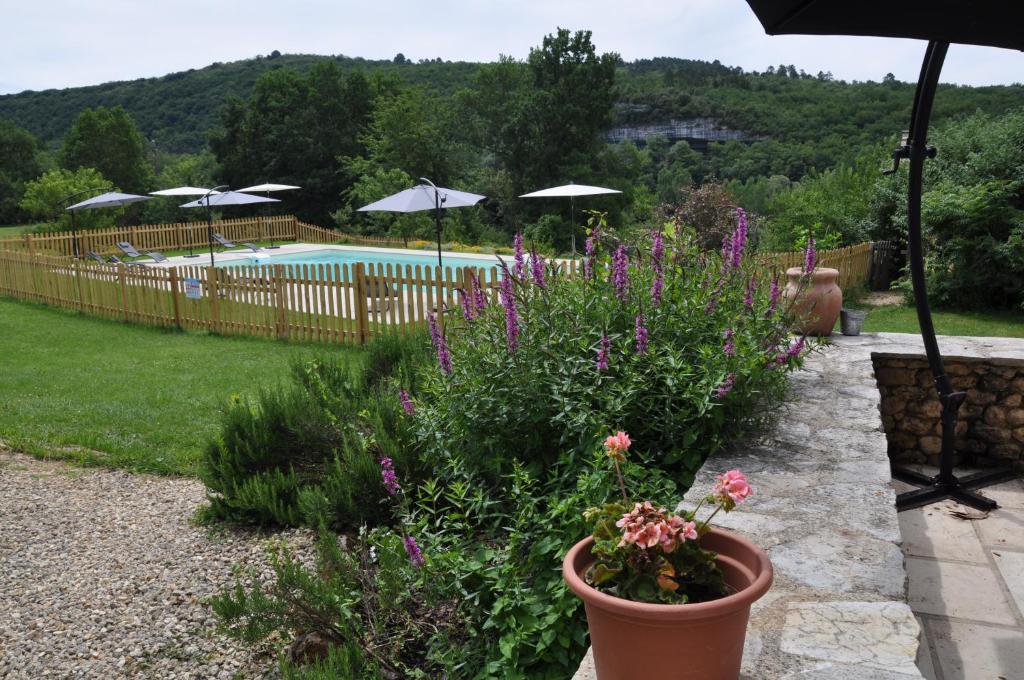 a garden with a pool and some flowers and an umbrella at gîtes les 7 roches 6 couchages in Les Eyzies-de-Tayac