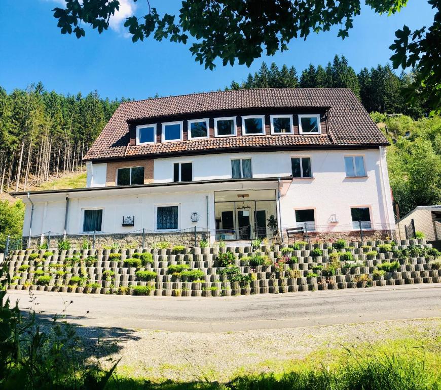 uma casa com muitas plantas à frente dela em Ferienwohnungen Hafermarkt em Wildemann