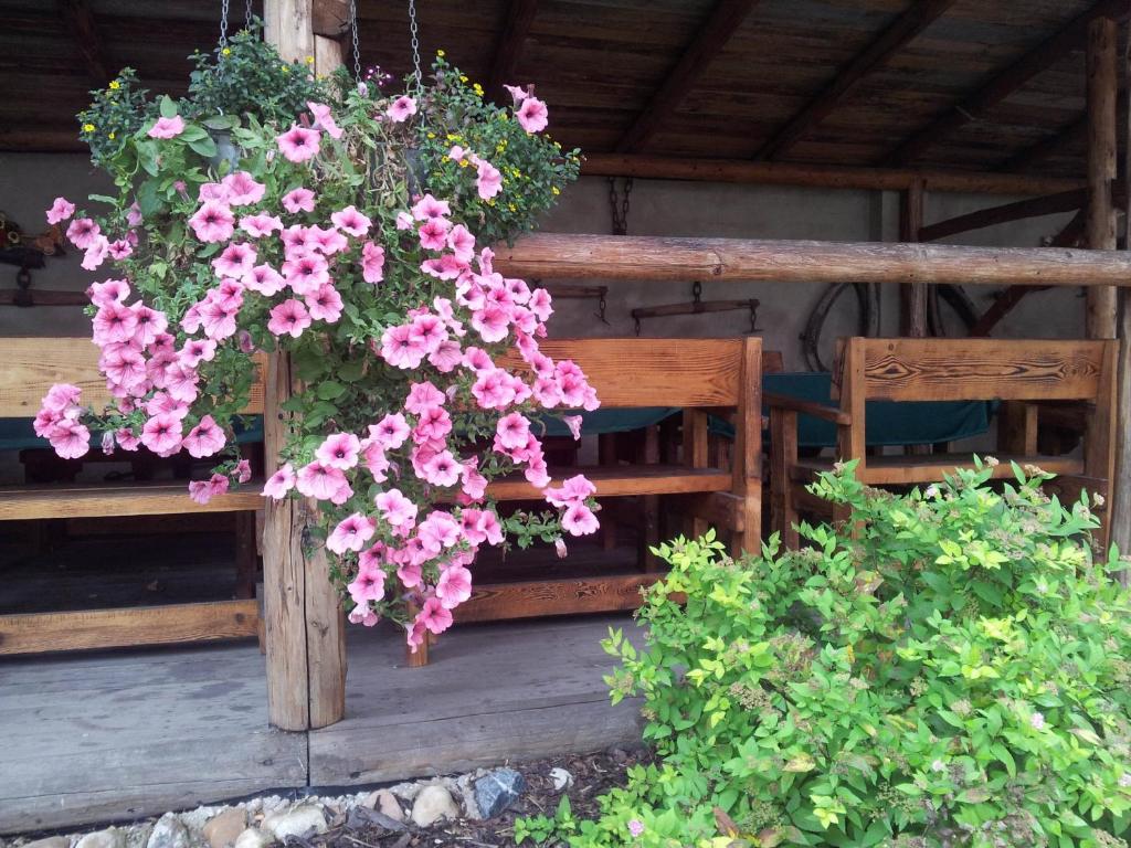 Penzion Piano Ranch - 16