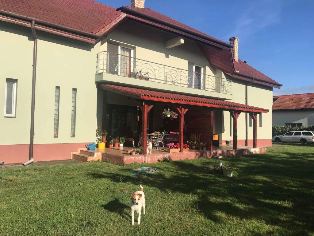 Domácí mazlíčci ubytovaní s hosty v ubytování Casa Vio