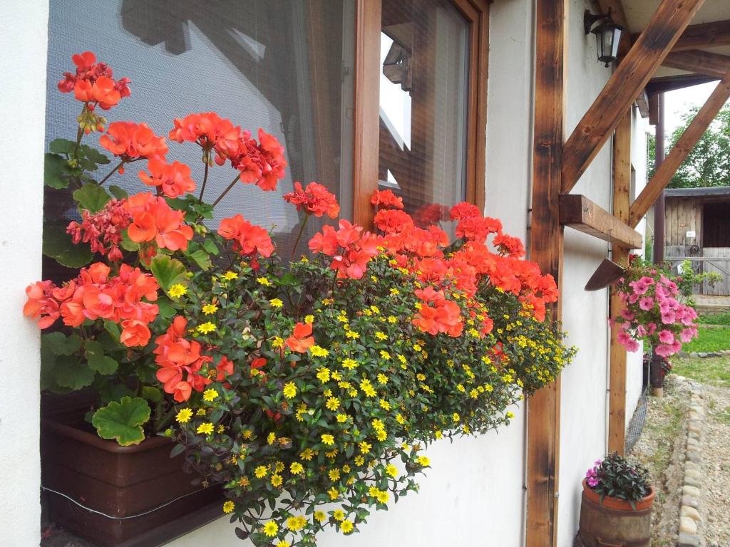 Penzion Piano Ranch - 17