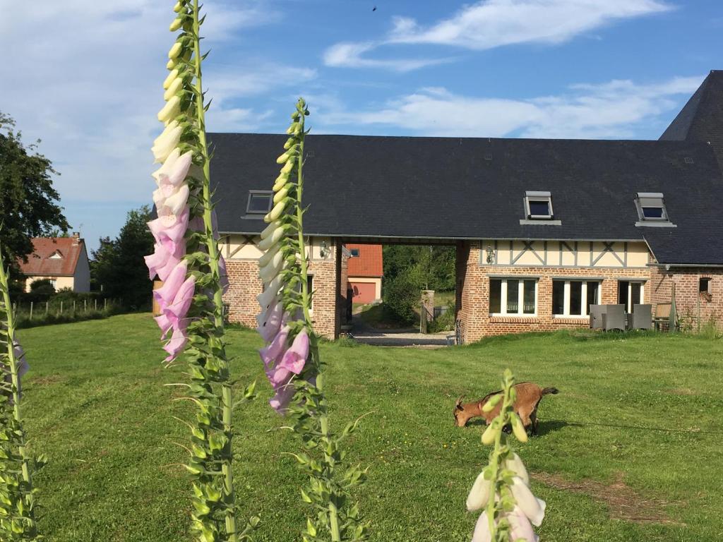 eine Kuh, die im Gras vor einem Haus liegt in der Unterkunft Le Clos Charmaine in Auquemesnil