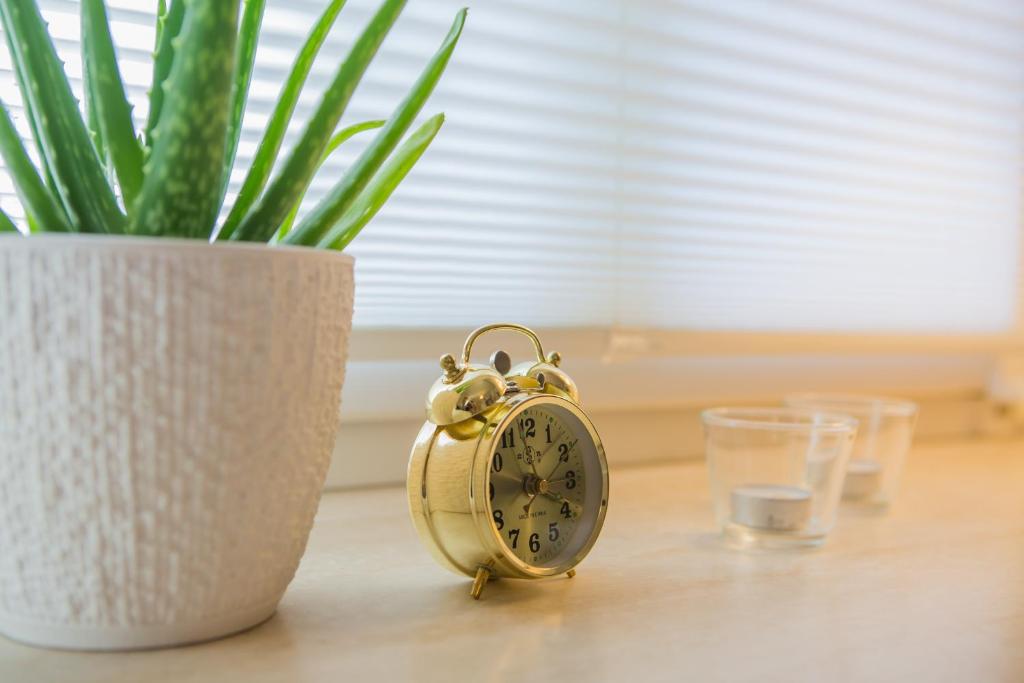 ApartOne Palais-Apartments - 18