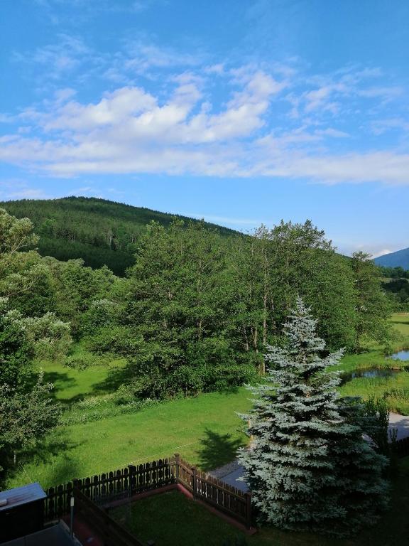 Ferienwohnung Semler - 12